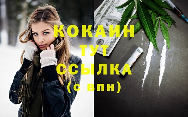 прущий лед Алзамай