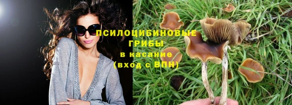 прущие грибы Алексин