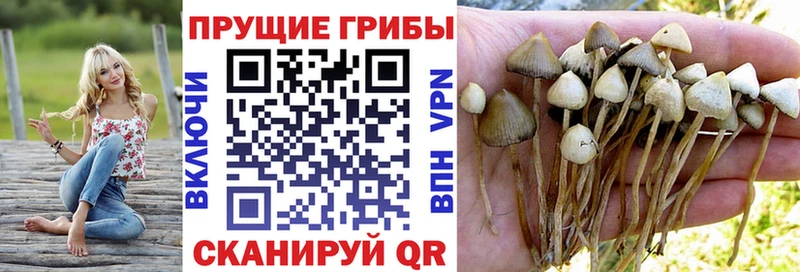 Галлюциногенные грибы прущие грибы  Абаза 